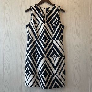NWOT Taylor Navy and White Petite Dress